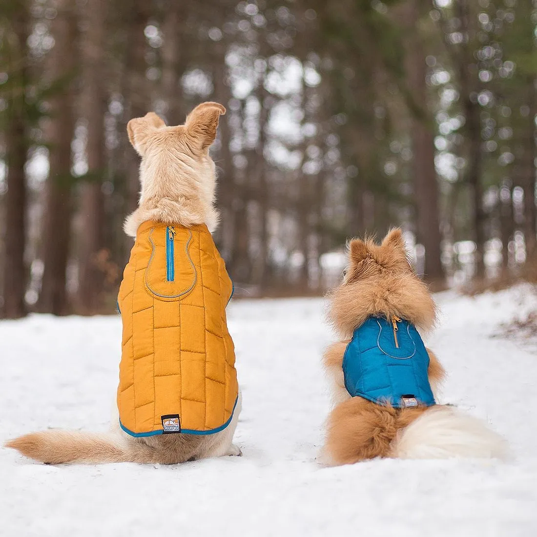 Loft Dog Jacket Water-resistant & Reversible